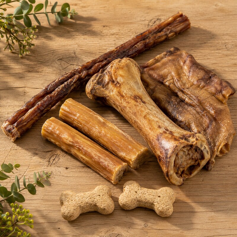 Langanhaltender Kauspaß