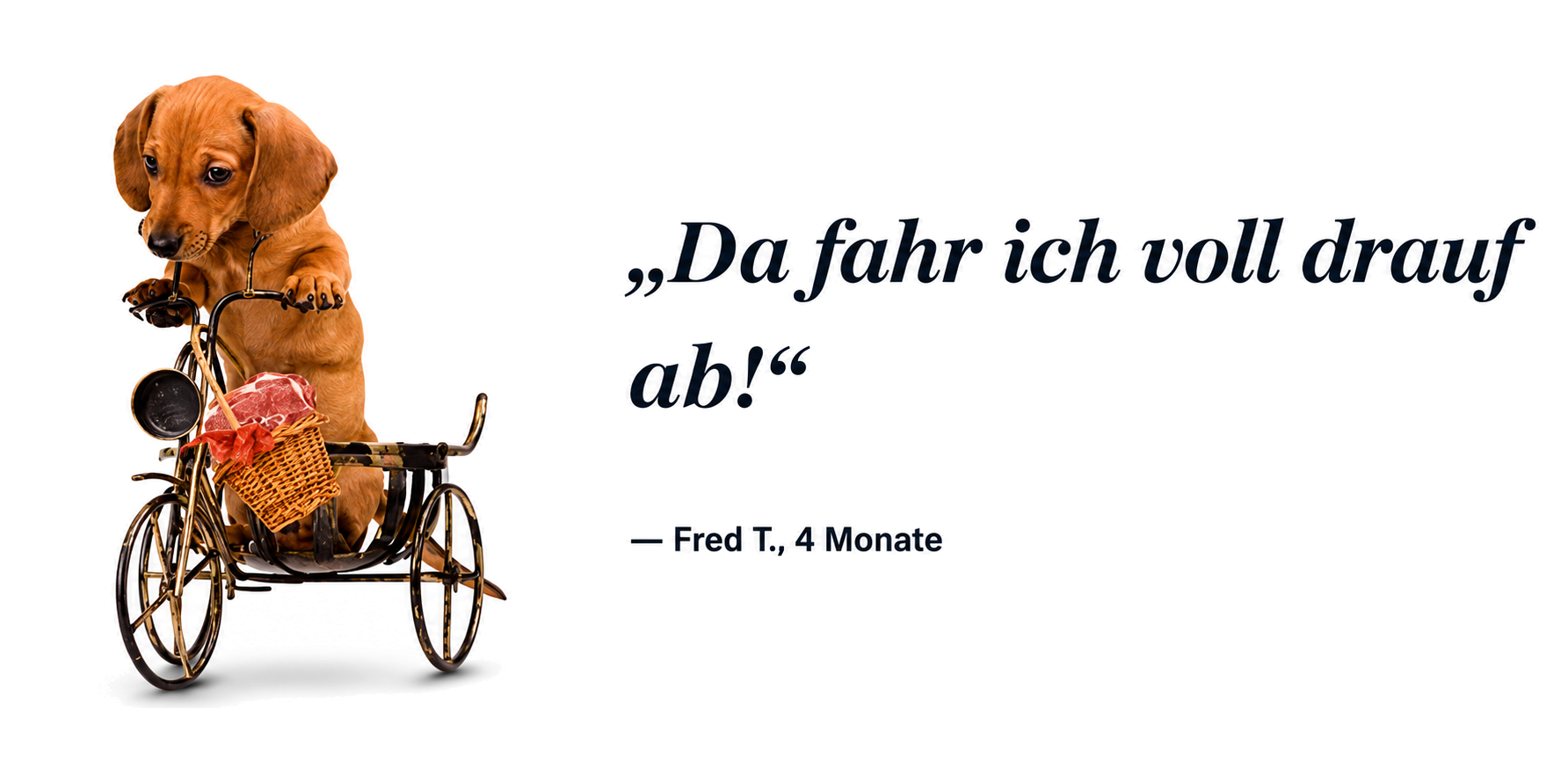 Fred T., 4 Monate — Da fahr ich voll drauf ab!